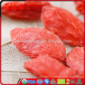 Promote Skin Dried goji berry siyah goji berry wholesale goji cream